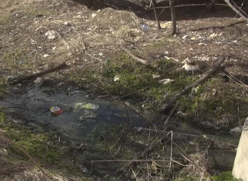 СМИ: в пруды Дашково-Песочни сбрасывают канализационные стоки