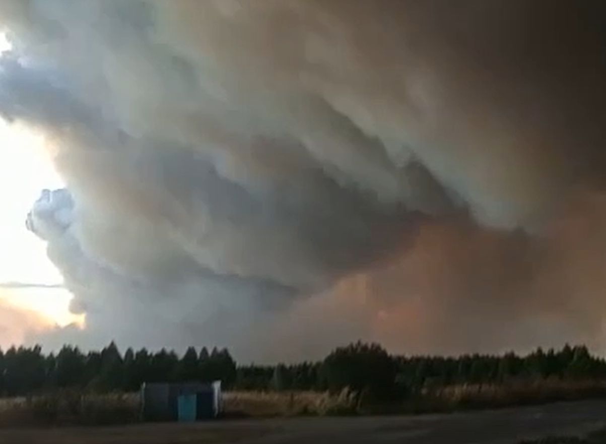 Пожары рязань в 2024. Лесные пожары в Касимовском районе. Спасский район пожар. Рязань пожар лес.