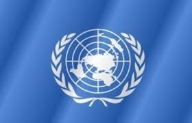 На Украине начнет работу миссия ООН