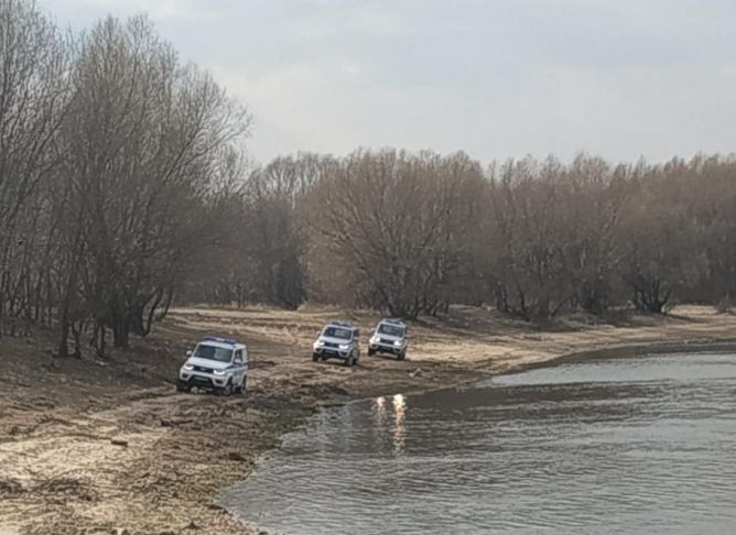 Рязанские полицейские ловят нарушителей режима изоляции в лесах и на берегах водоемов