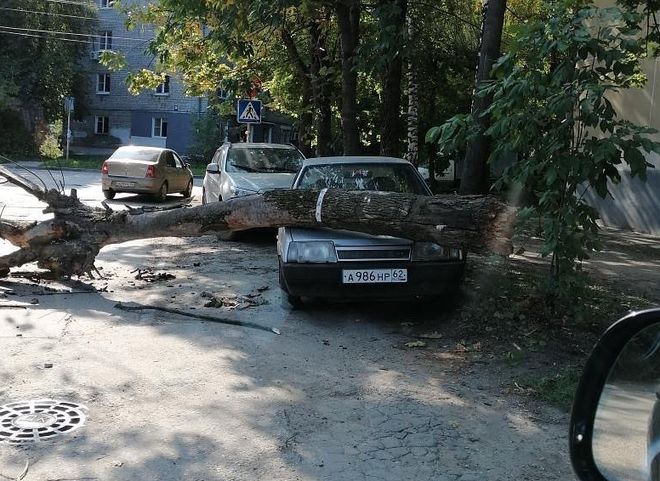 На улице Дачной на автомобиль упало дерево