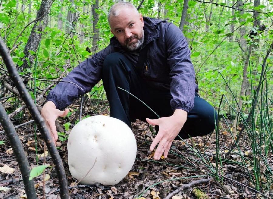 В Пронском районе обнаружили поляну с гигантскими грибами