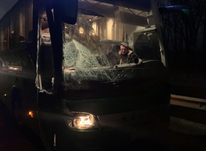 На трассе М5 под Рязанью столкнулись автобус и грузовик, есть пострадавшие