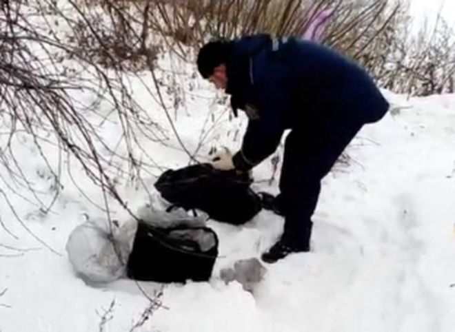 В Самарской области обнаружили пакет с телом четырехмесячного ребенка