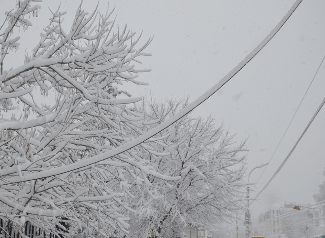 Еще два района Рязанской области остались без света из-за снегопада