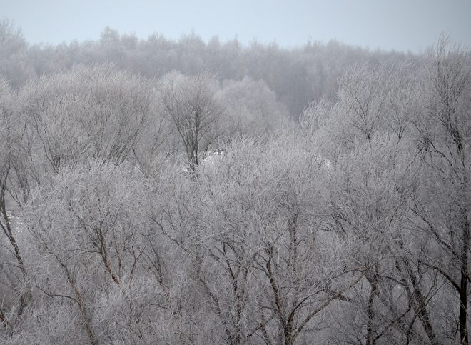 Температура воздуха в Рязанской области опустится до -18 °C