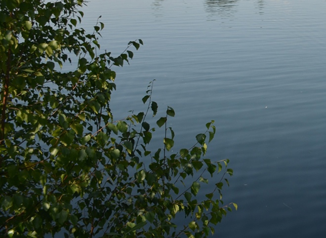 В этом году в Рязанской области не станут открывать пляж на Уржинском озере