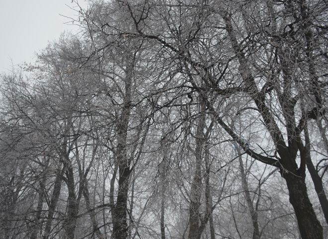 В Рязанской области похолодает до -14 °C