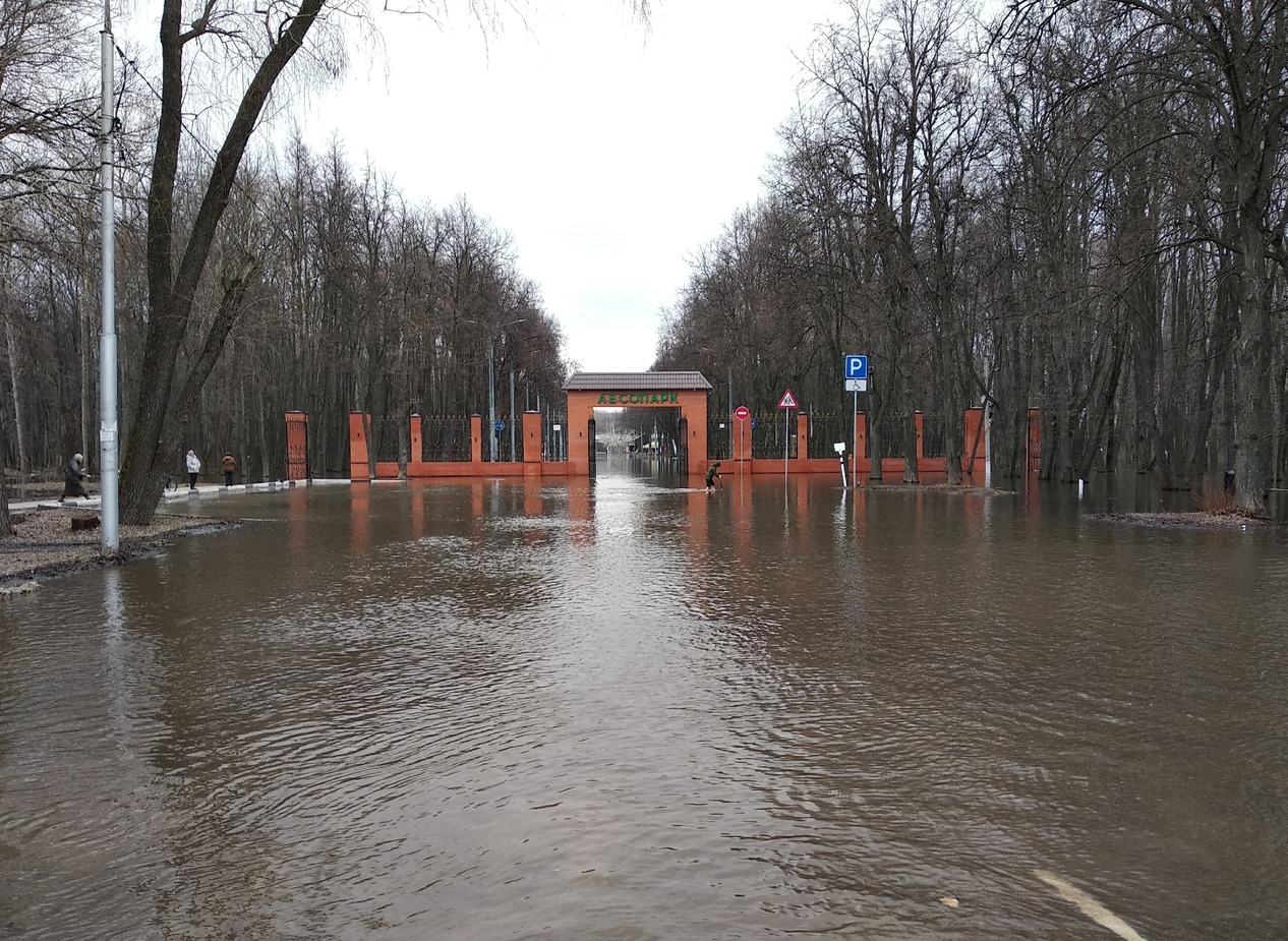 В Рязани прогнозируется уровень подъема воды в Оке выше 620 см | 02.04.2024  | Рязань - БезФормата