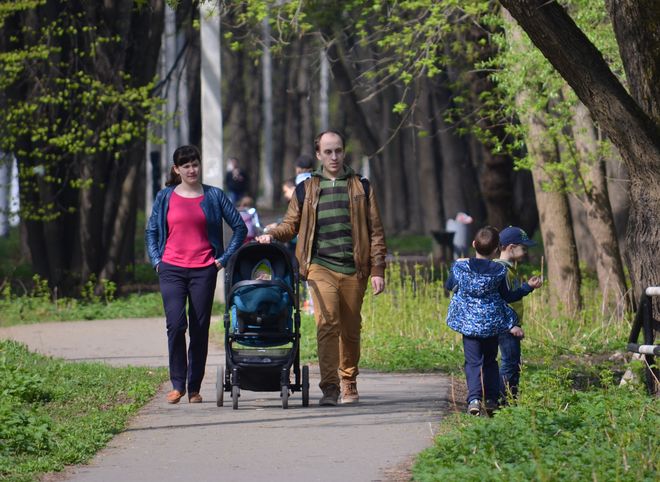 В Рязанской области 11% семей отнесли к среднему классу