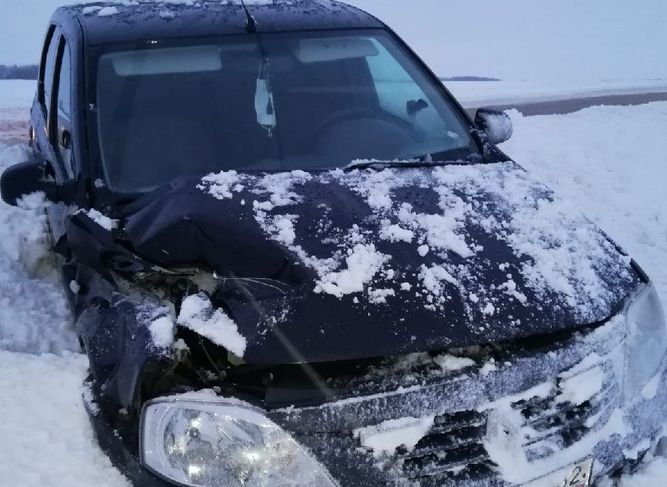 В Пронском районе Renault налетел на нож трактора