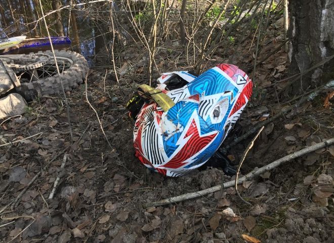 В Рязанской области водитель мотоцикла погиб, врезавшись в дерево