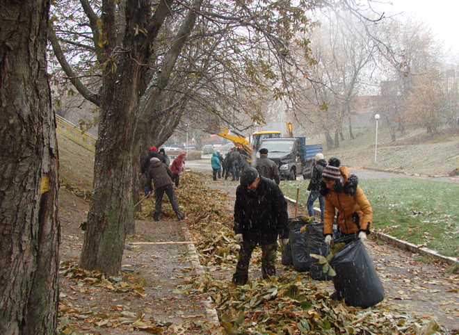 Сотрудники аппарата областной Думы приняли участие в уборке Лыбедского бульвара