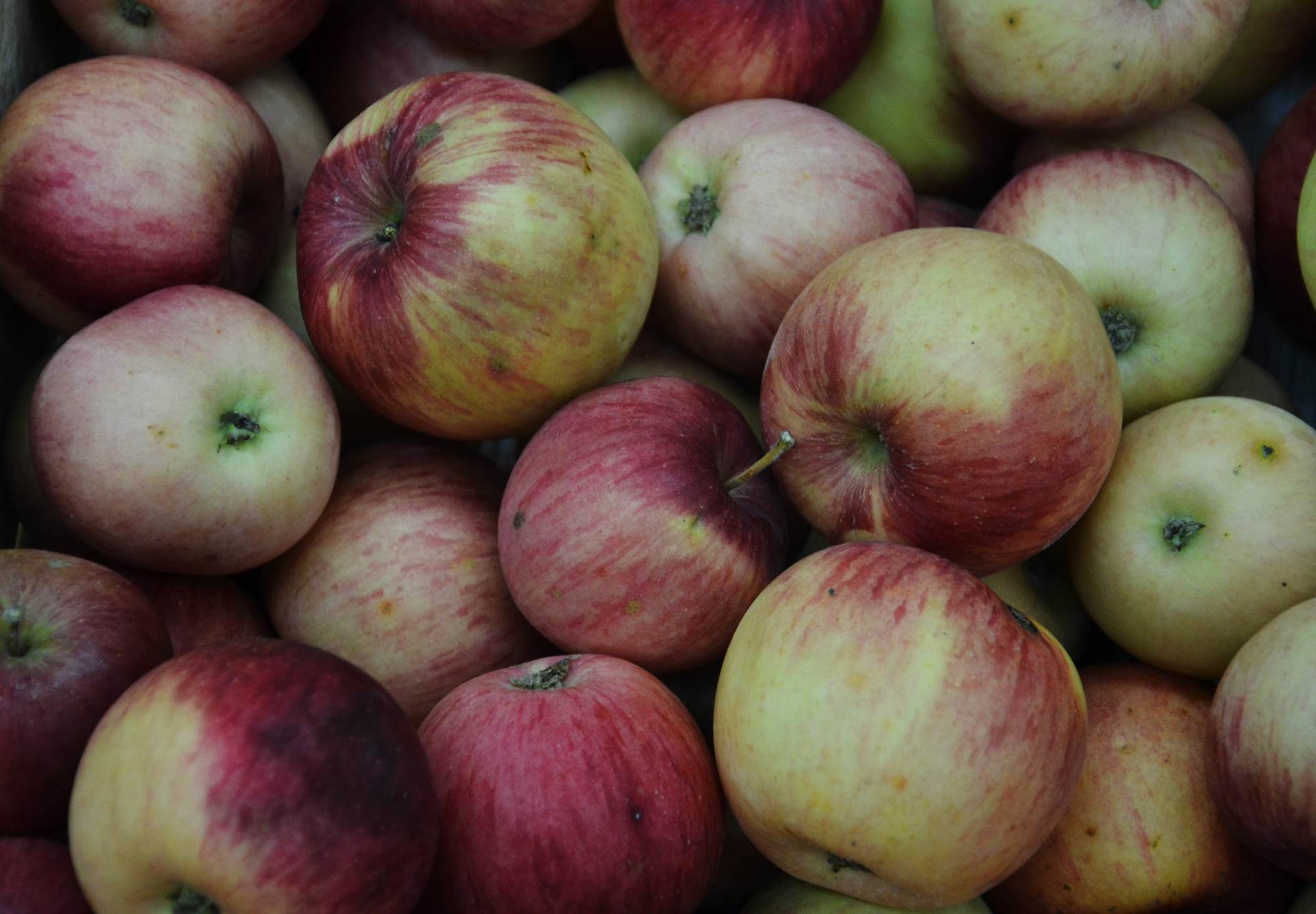 В Рязани уничтожили 767 кг яблок