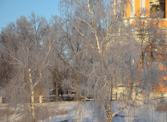 На следующей неделе в Рязань придут 20-градусные морозы