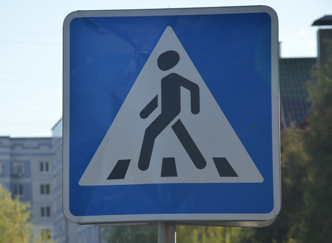 Рязанская полиция разыскивает очевидцев аварий с участием пешеходов