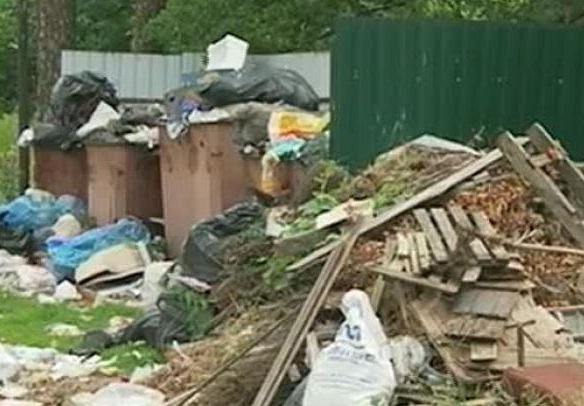 В Солотче две недели не вывозили мусор