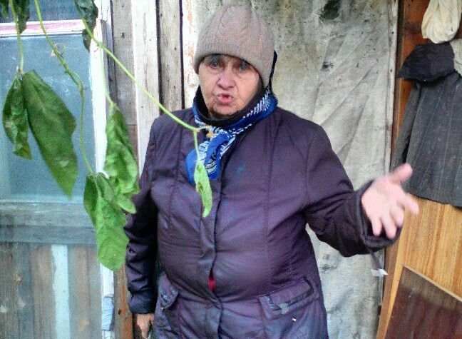 У дома рязанской пенсионерки починили дорогу после объявления голодовки