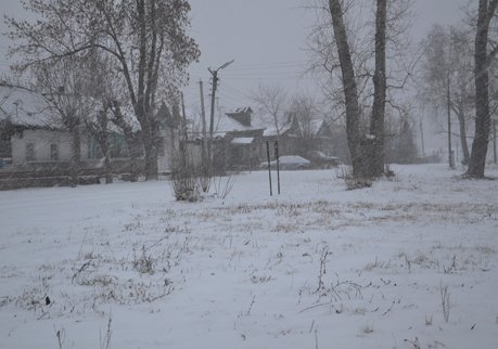 В выходные в Рязани ожидается мокрый снег и ветер до 20 м/с