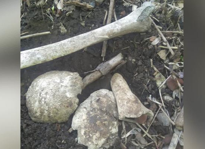 В центре Рязани обнаружили человеческие останки