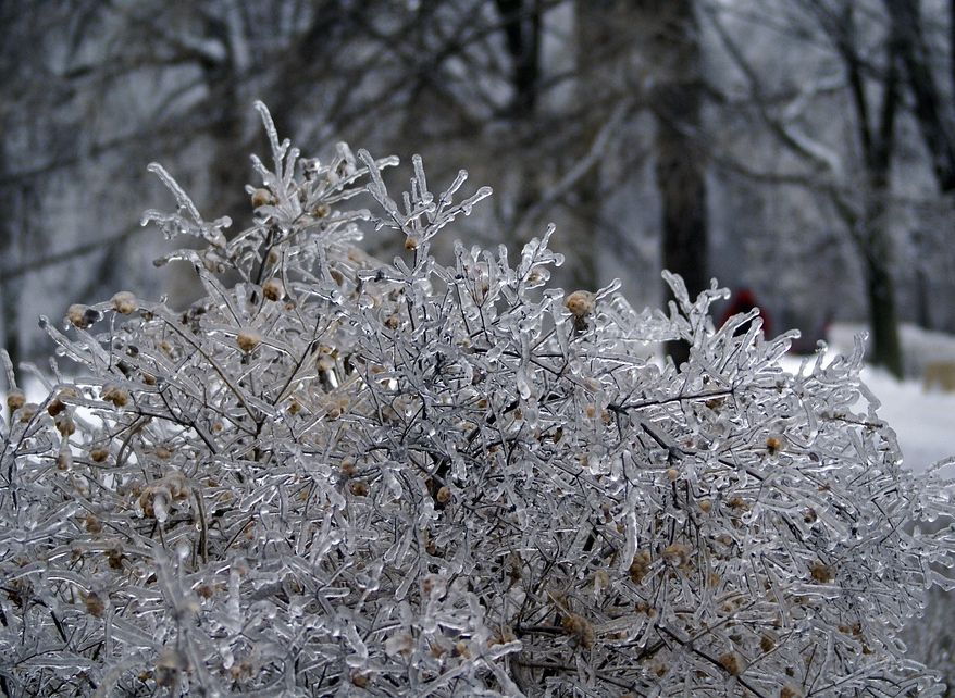 Рязанскую область накроет ледяным дождем
