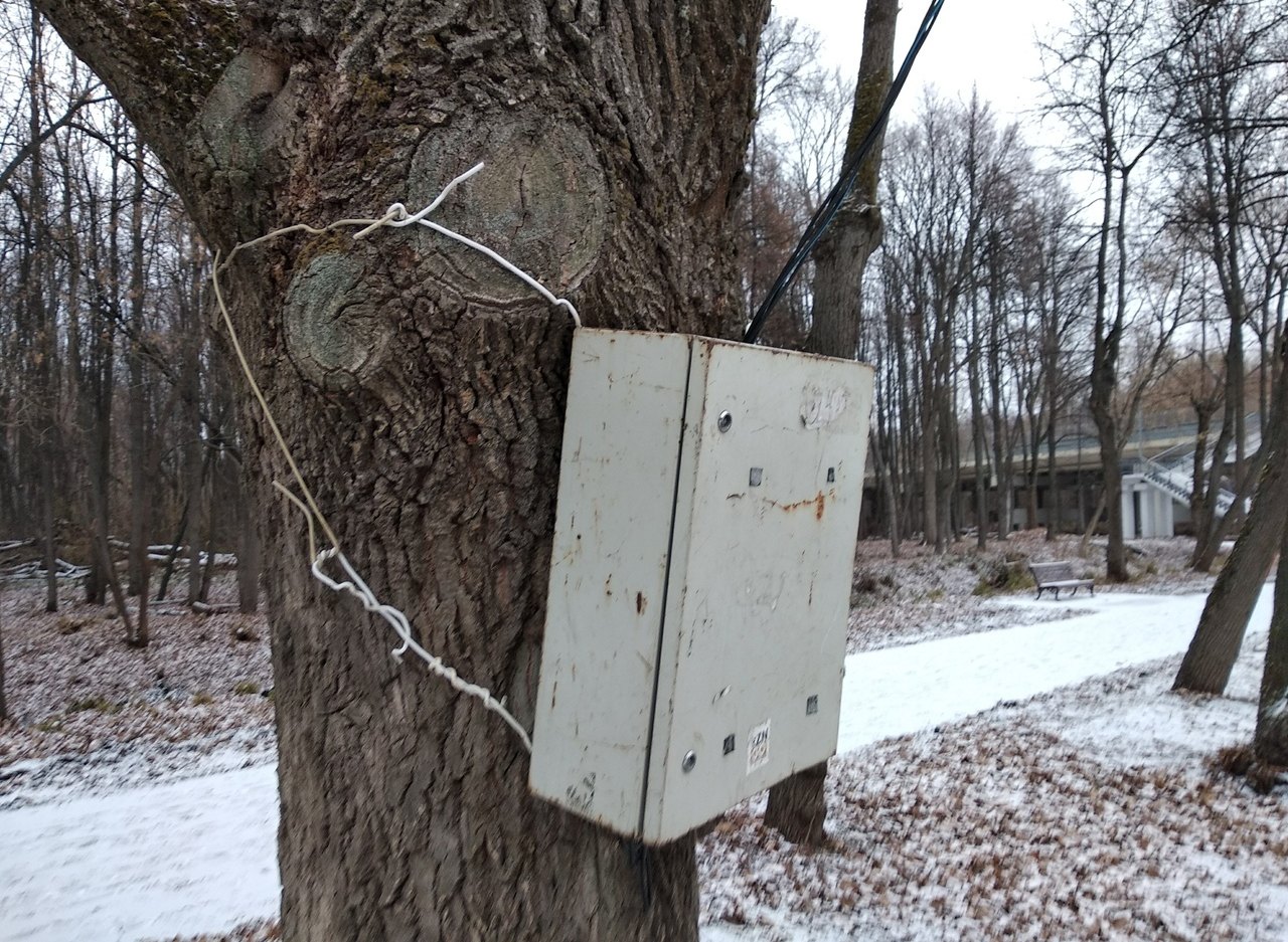 Фото: в Лесопарке распределительный щиток прикрутили проволокой к дереву
