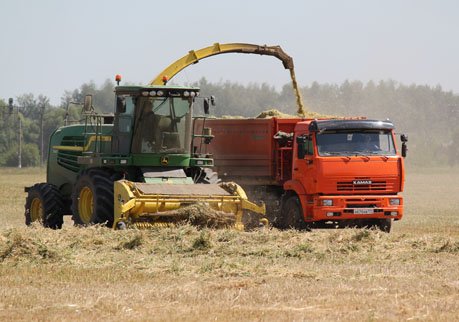 В Рязанской области собрано 880 тысяч тонн зерна