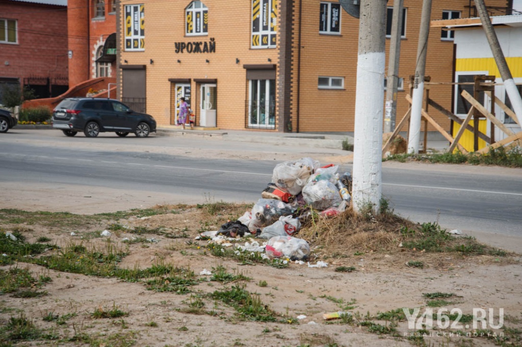 Фото 2 Куча мусора у дороги.JPG
