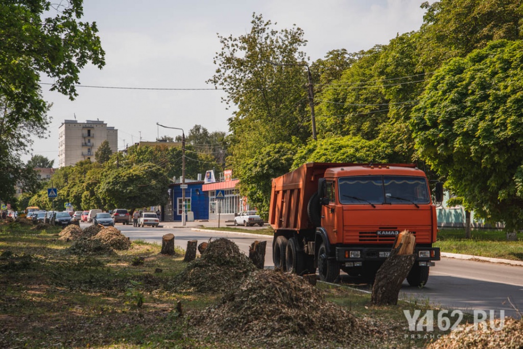Фото 7 Вырубка деревьев на улице Волкова.JPG