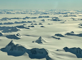 Подо льдами Антарктиды найден затерянный тропический мир