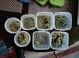 В Сасовском районе полицейские изъяли из двух домов более 6 кг марихуаны