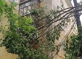 Возле рязанского детского сада на трубе повисло дерево