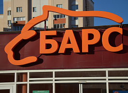 С «Барса» взыскали 230 тыс. рублей за нарушение прав на товарный знак