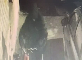 Ночью у общежития РГУ «некая девица» угнала два велосипеда
