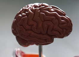 Онколог назвал первые симптомы рака мозга
