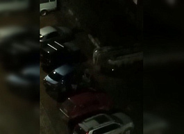 В полиции отреагировали на драку в Шлаковом