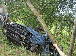 В Рязанской области легковушку смяло при ударе о дерево