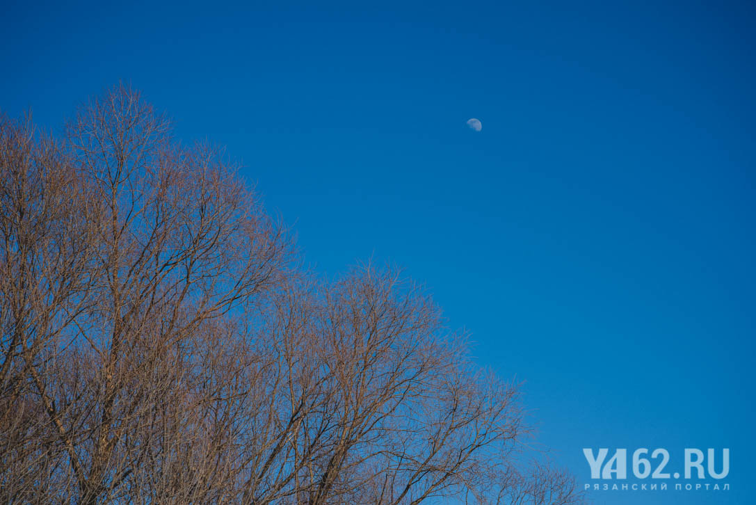 Фото 9 Дубовая роща и луна.JPG