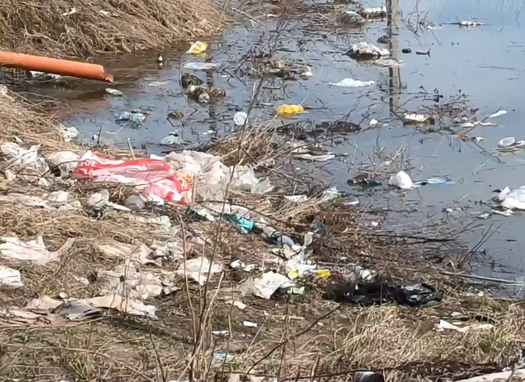 Из-за половодья берега Оки под Рязанью «затопило» мусором