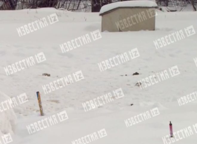 Опубликовано видео с места гибели полицейского при запуске салюта в Рязанской области