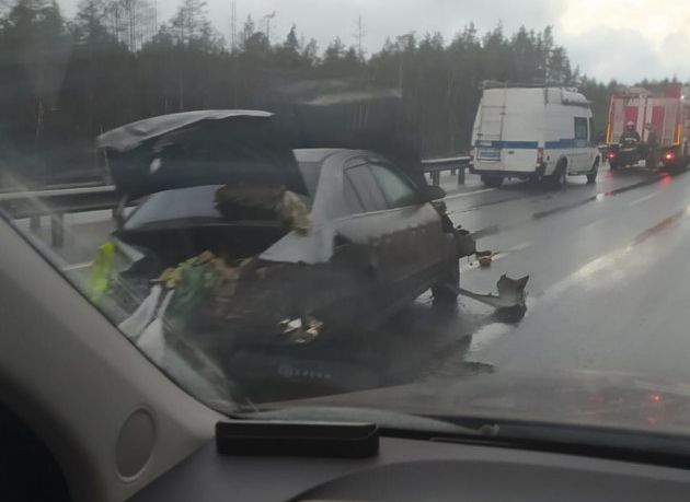 В Ленобласти во время ДТП из багажника машины выпал изуродованный труп