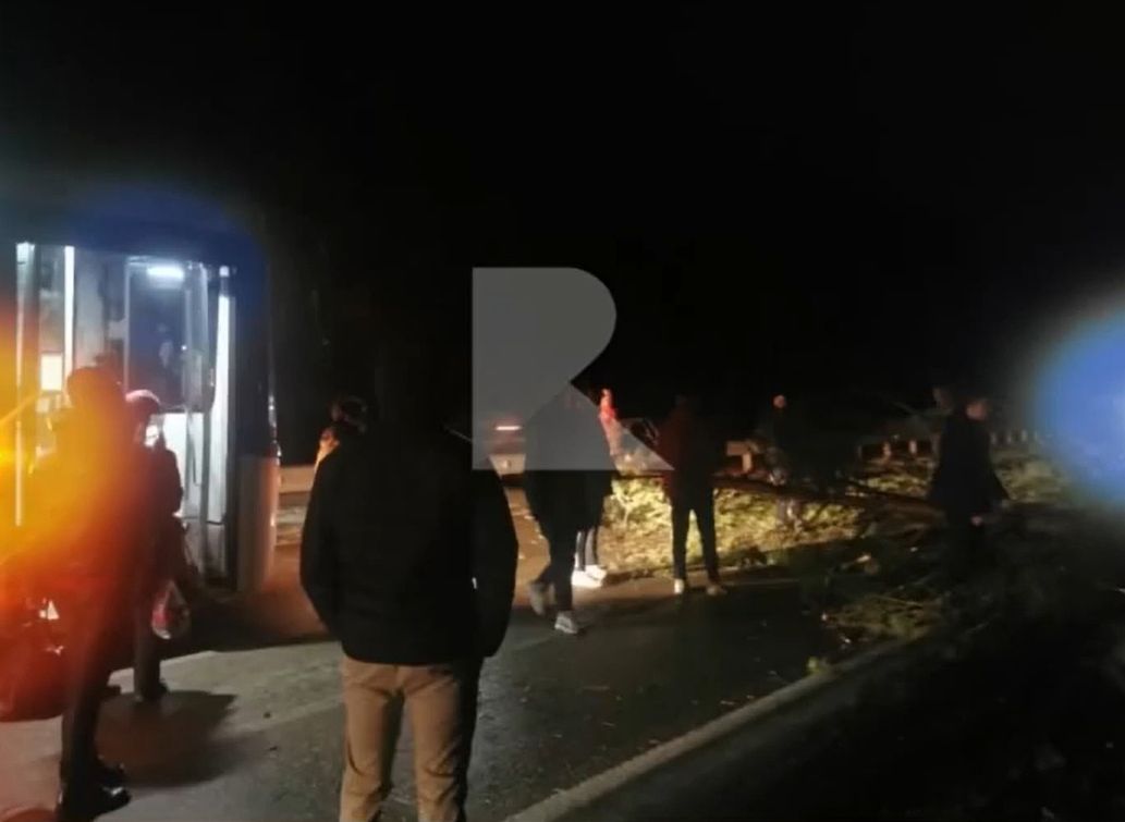 На Солотчинском шоссе дерево упало прямо перед рейсовым автобусом
