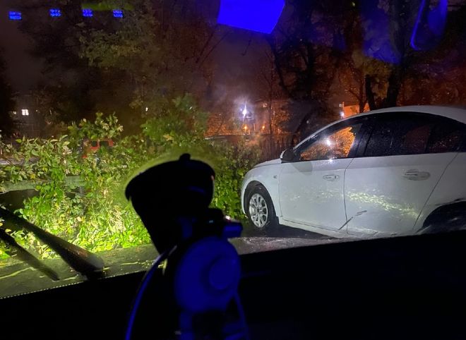 В Приокском упавшее дерево повредило две машины